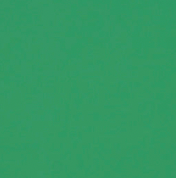 grass green swatch option
