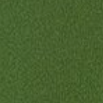 forest green swatch option